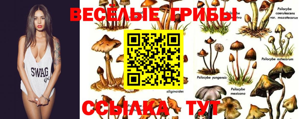 Барабинск  где купить наркоту  Вход с VPN  Псилоцибиновые грибы ЛСД  Галлюциногенные грибы GOLDEN TEACHER 
